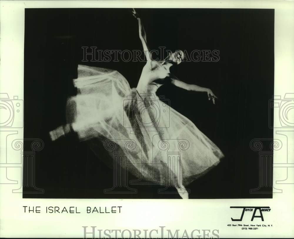 1981 Press Photo Ballet Dancer with The Israel Ballet - nop51790