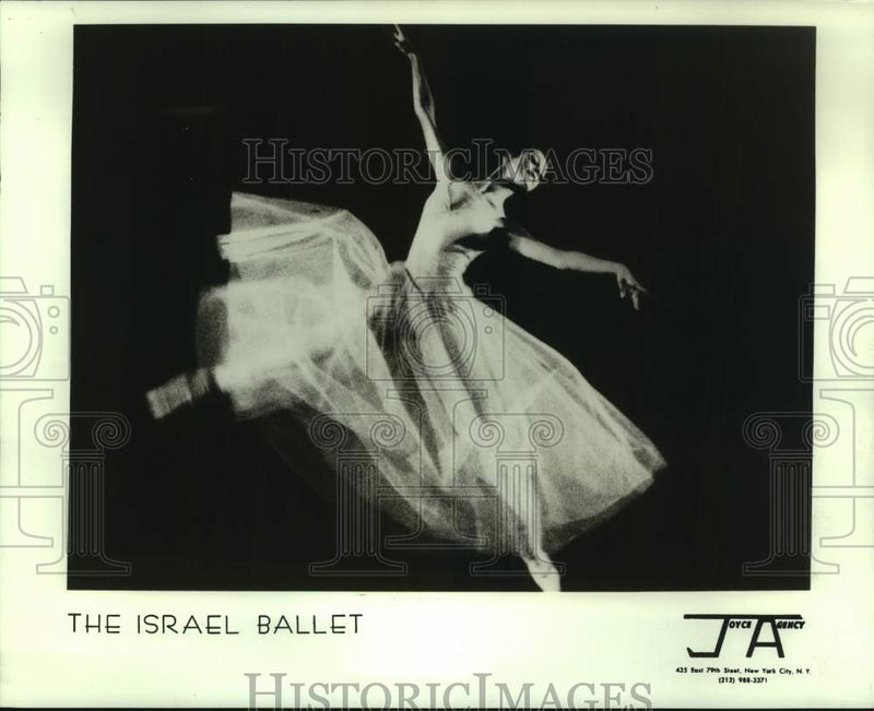 Load image into Gallery viewer, 1981 Press Photo Ballet Dancer with The Israel Ballet - nop51790
