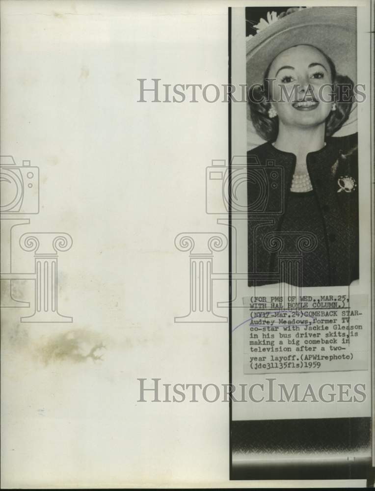 Load image into Gallery viewer, 1959 Press Photo Audrey Meadows, former TV star is making a big comeback
