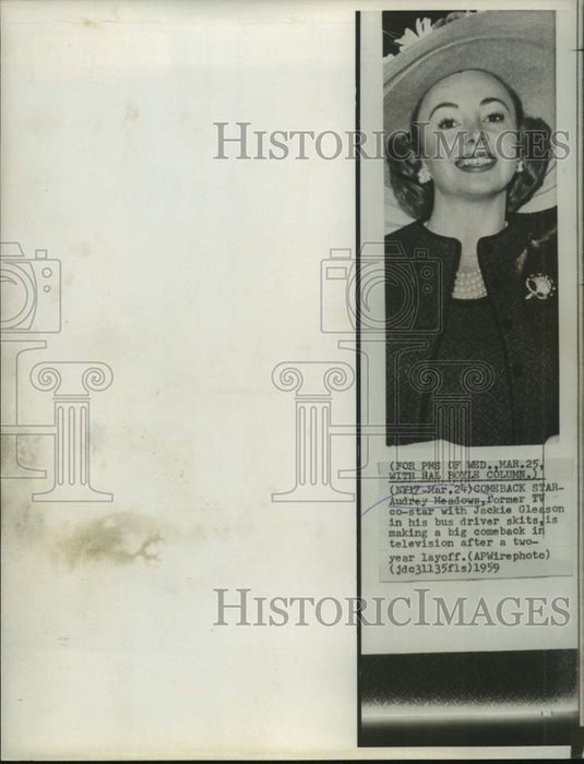 1959 Press Photo Audrey Meadows, former TV star is making a big comeback