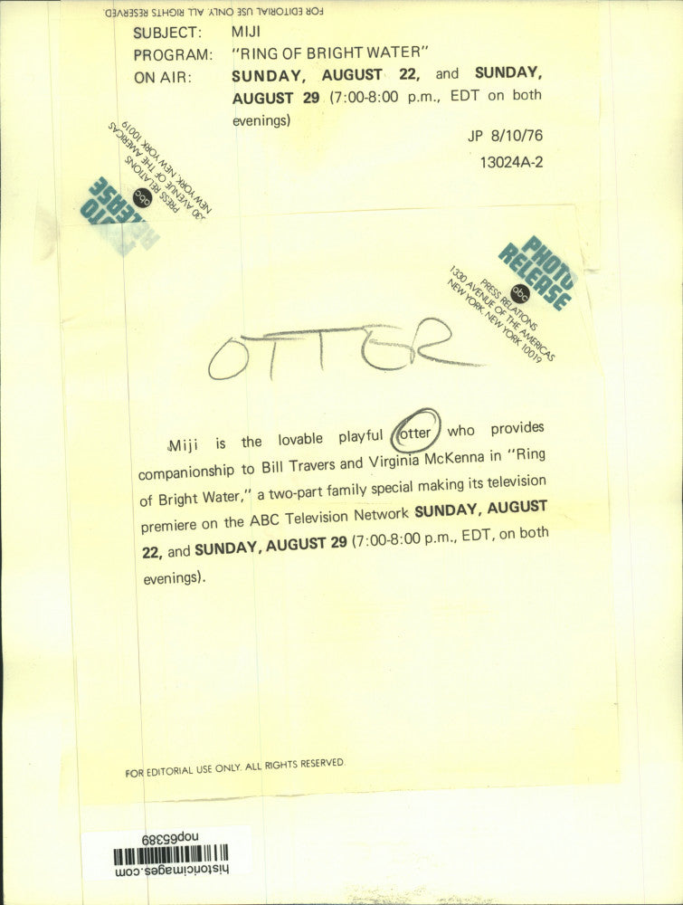 1976 Press Photo Miji the otter, "Ring of Bright Water" - nop65389