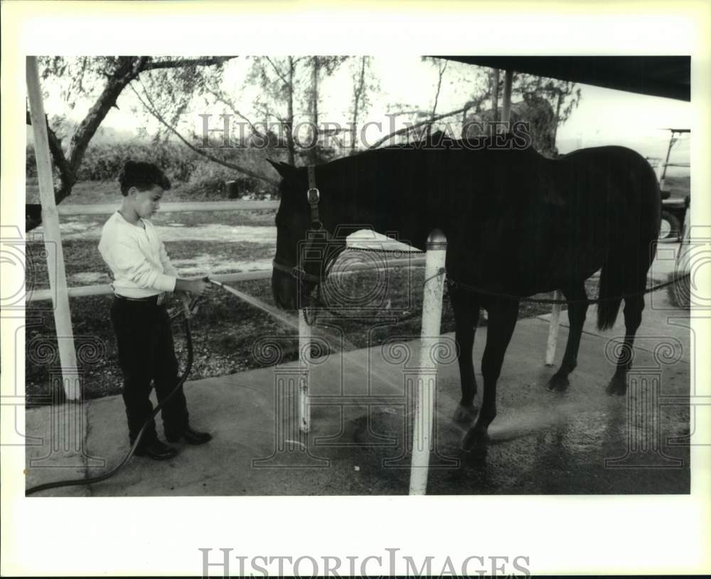 1990 Press Photo Robert Schwegmann hoses off &quot;Cajun Lady&#39;s&quot; hooves after workout- Historic Images