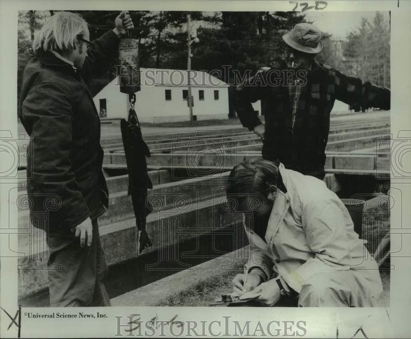 Load image into Gallery viewer, 1972 Press Photo Biologist Larry Stolte and aids weigh coho salmon in NH
