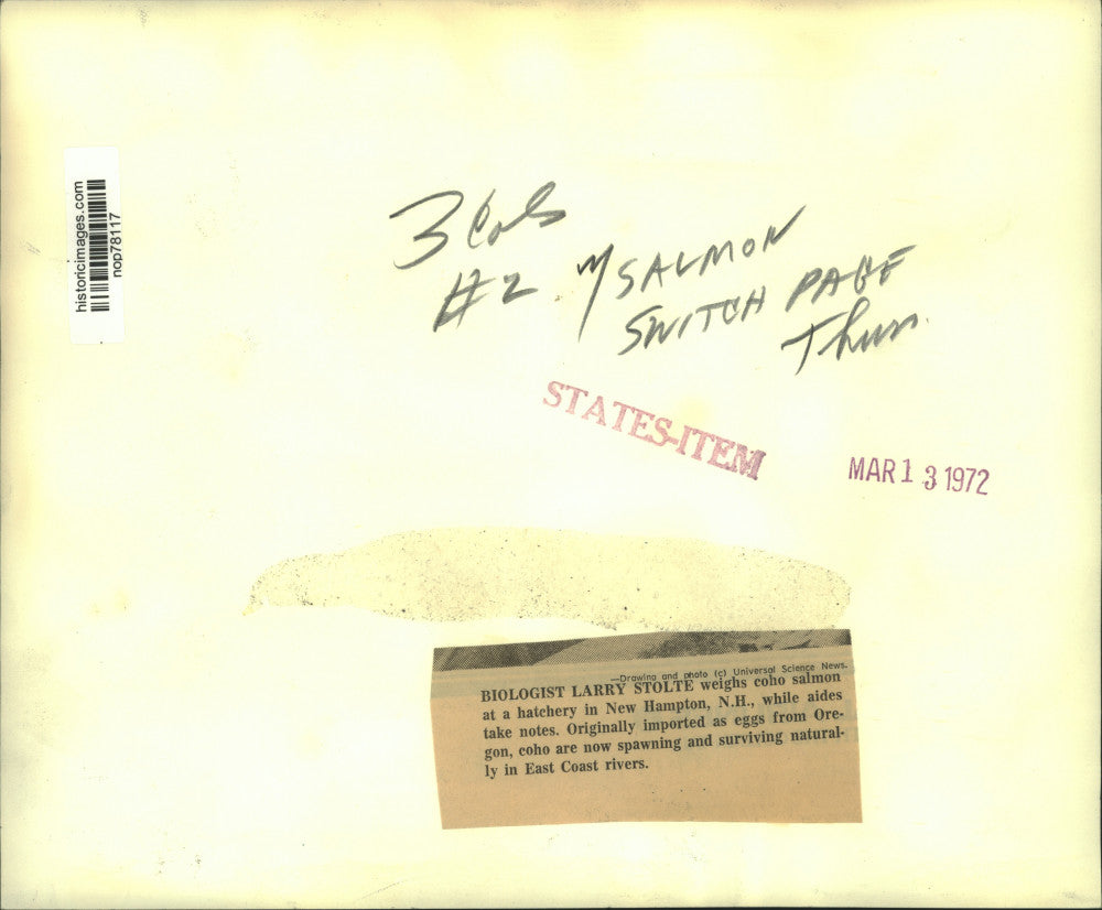 1972 Press Photo Biologist Larry Stolte and aids weigh coho salmon in NH