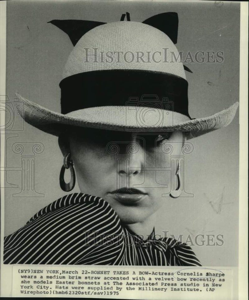 Load image into Gallery viewer, 1975 Press Photo Actress Cornelia Sharpe Modelling Easter Bonnet - nop79426

