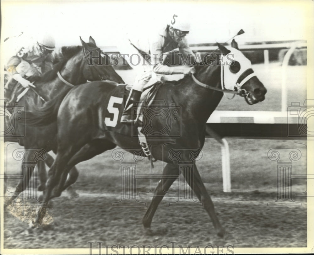 1984 Press Photo Horse Racing - Termerity Prince &amp; Ronald Ardon wins Old Hickory- Historic Images