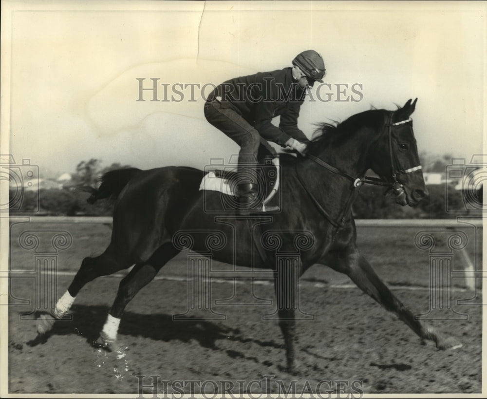 Press Photo Horse Racing- King of Kentucky with Jeffrey Bourque up. - nos00699- Historic Images