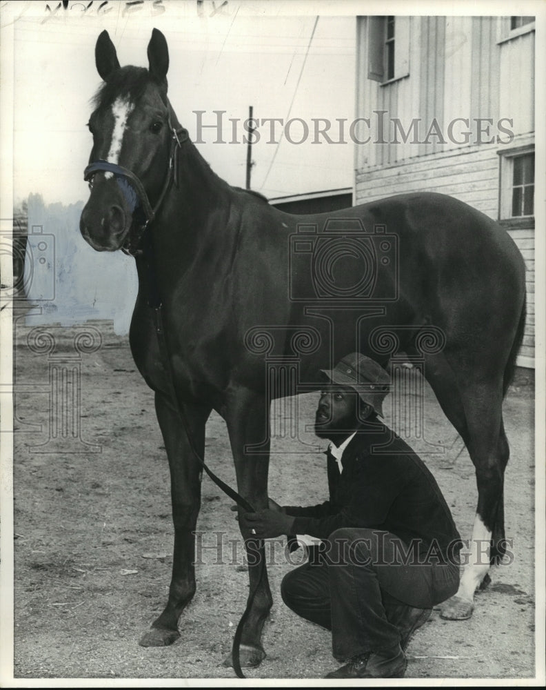 1975 Press Photo Horse Racing- Honey Mark- Historic Images