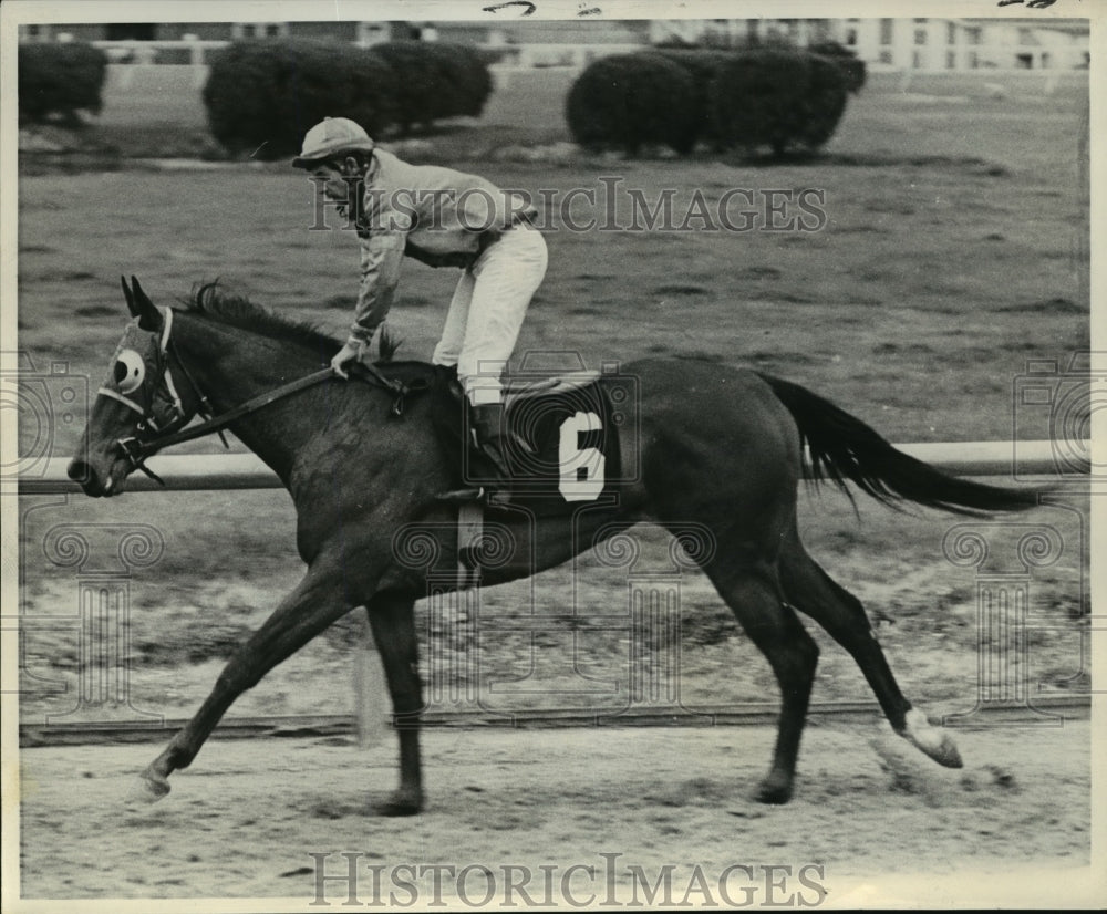 1968 Press Photo Jockey Jack Kurtz takes Junior Achiever through final workout.- Historic Images