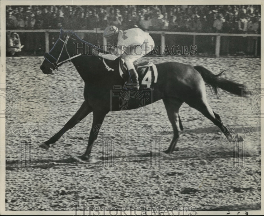 1972 Press Photo Racehorse Joe Frazier on the track. - nos01787- Historic Images