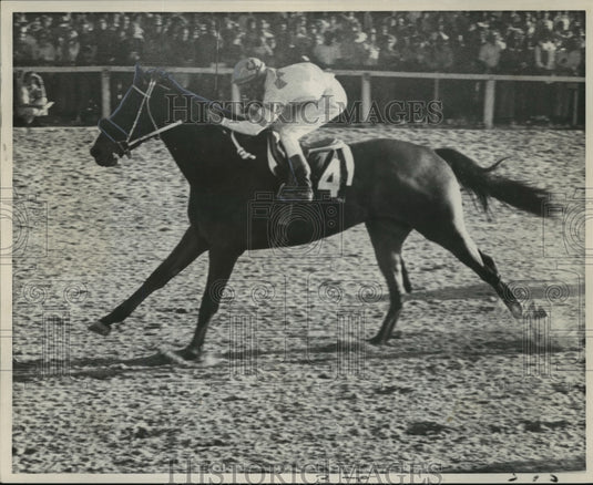 1972 Press Photo Racehorse Joe Frazier on the track. - nos01787- Historic Images