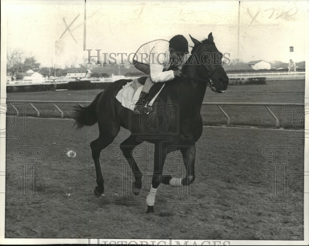 1973 Press Photo Count Fearless Ridden by Jockey Ray Sibille - nos02063- Historic Images