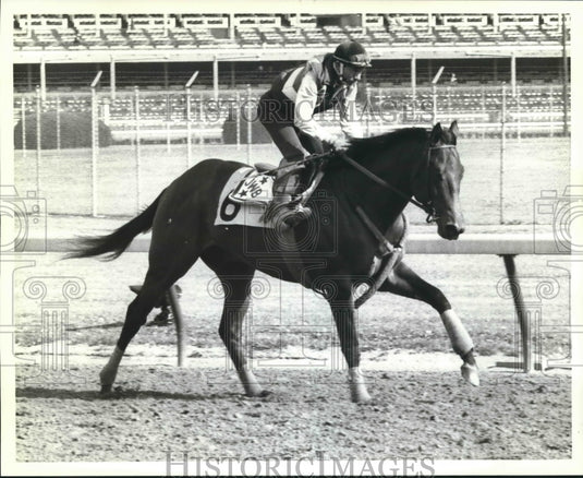 1982 Press Photo Horse Racer El Baba with Horse Jockey Don Bromfield - nos07751- Historic Images