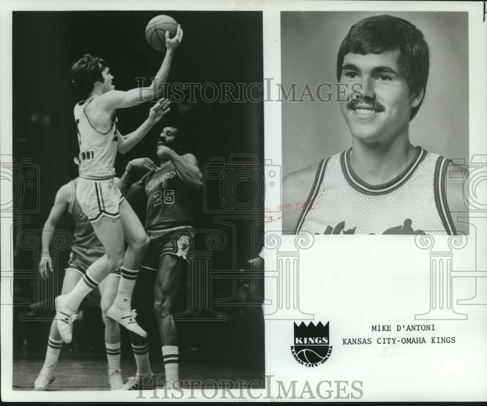 1975 Press Photo Kansas City Omaha Kings Basketball Player Mike D&#39;Antoni- Historic Images