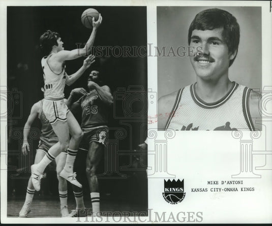 1975 Press Photo Kansas City Omaha Kings Basketball Player Mike D'Antoni- Historic Images