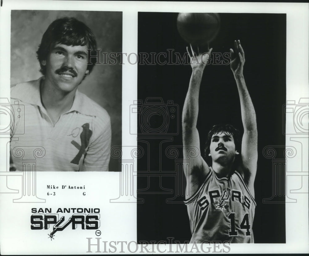 1977 Press Photo San Antonio Spurs Basketball Player Mike D&#39;Antoni, Guard, 6-3- Historic Images