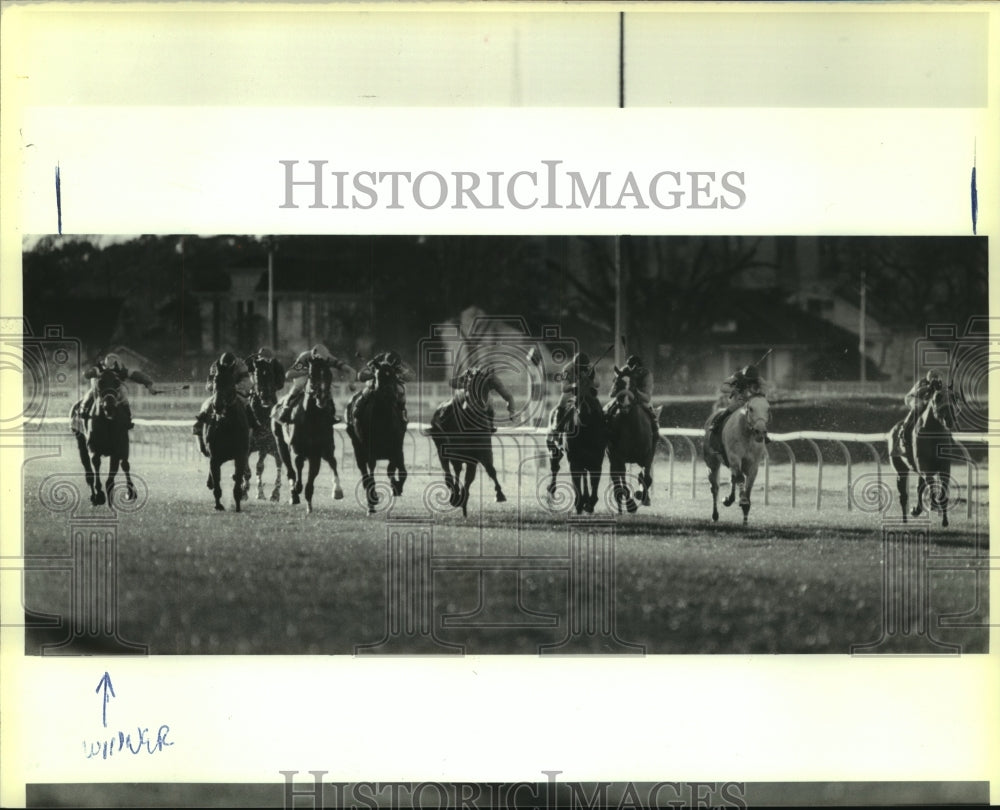 1990 Press Photo Race Horses at Fair Grounds Bud Breeders&#39; Cup Race - nos11212- Historic Images