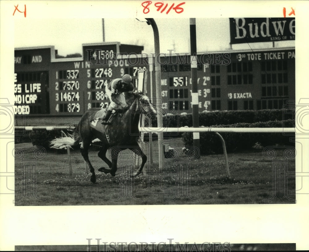 1987 Press Photo Jockey and Horse at Louisiana Fair Grounds Race Track- Historic Images