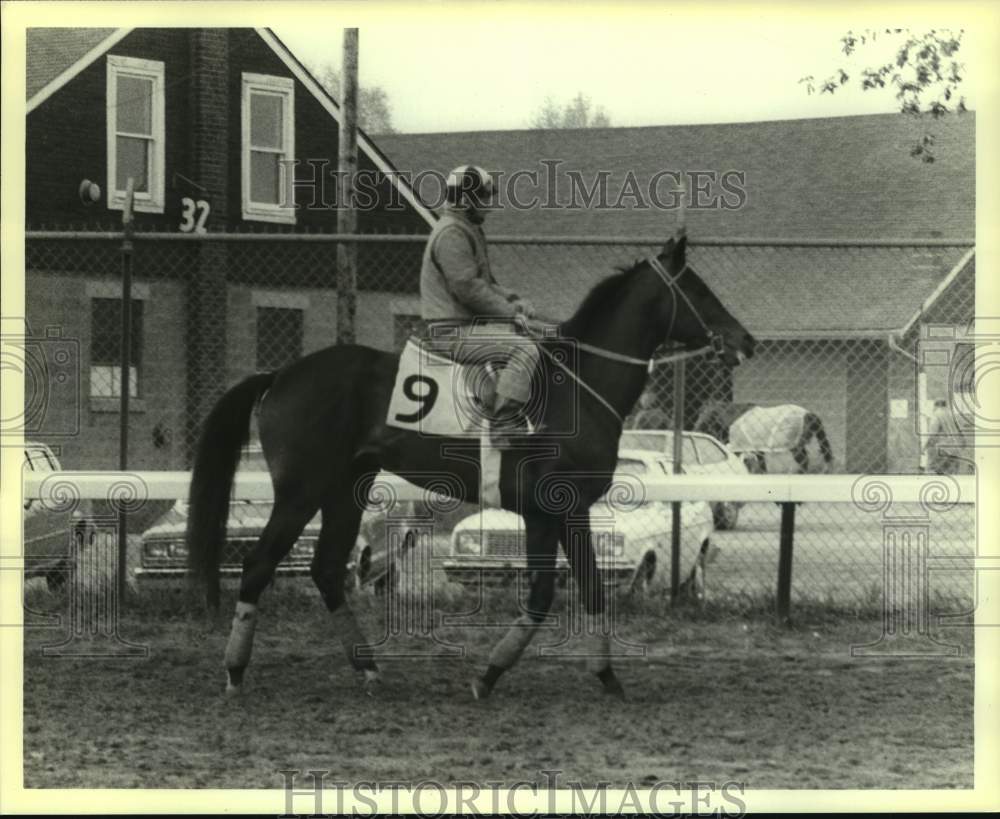 1980 Press Photo Kentucky Derby race horse Super Moment - nos17166- Historic Images