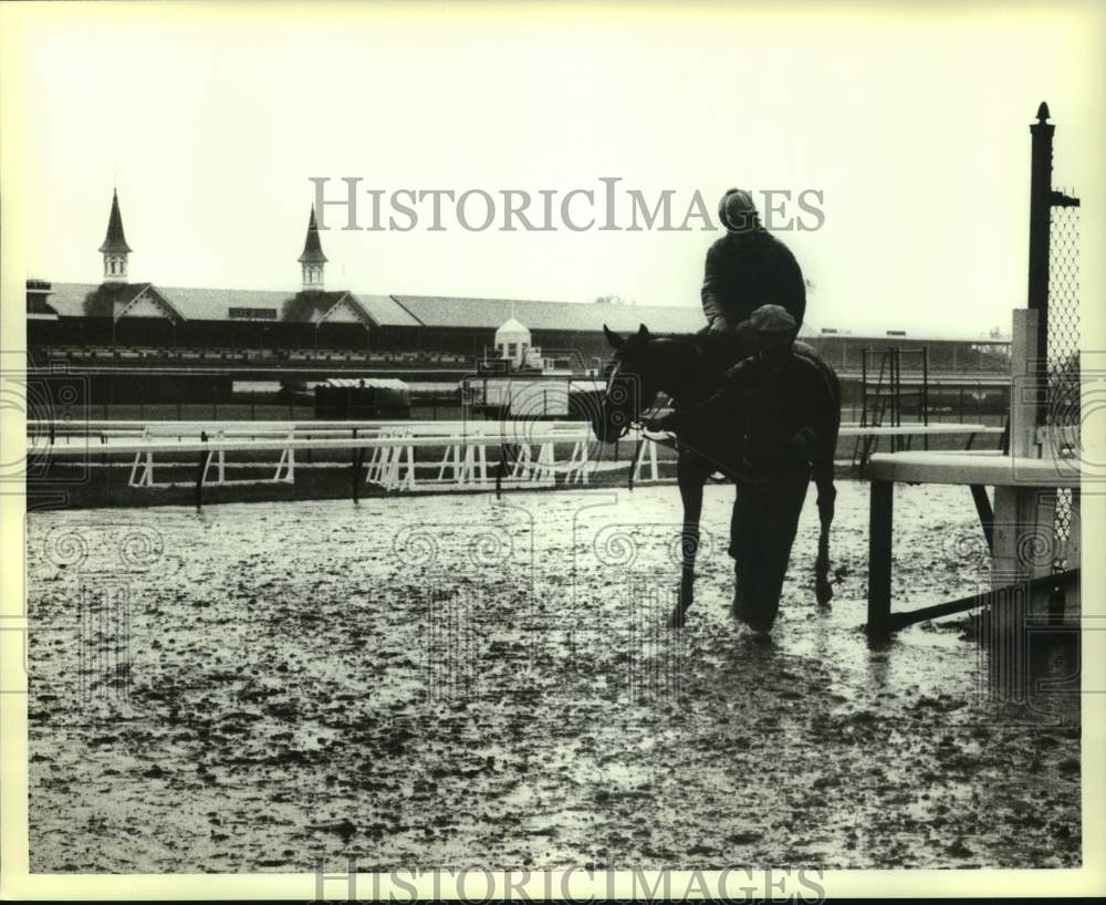 1983 Press Photo Kentucky Derby race horse Paris Prince - nos17178- Historic Images