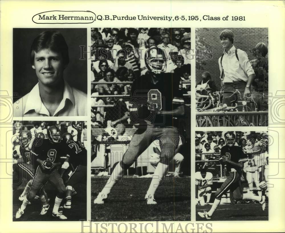 1979 Press Photo Purdue college football player Mark Herrmann - nos18366- Historic Images