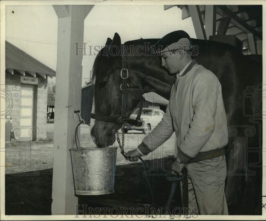 Press Photo Jockey Clarence Meaux holds reigns of horse as it eats from bucket- Historic Images