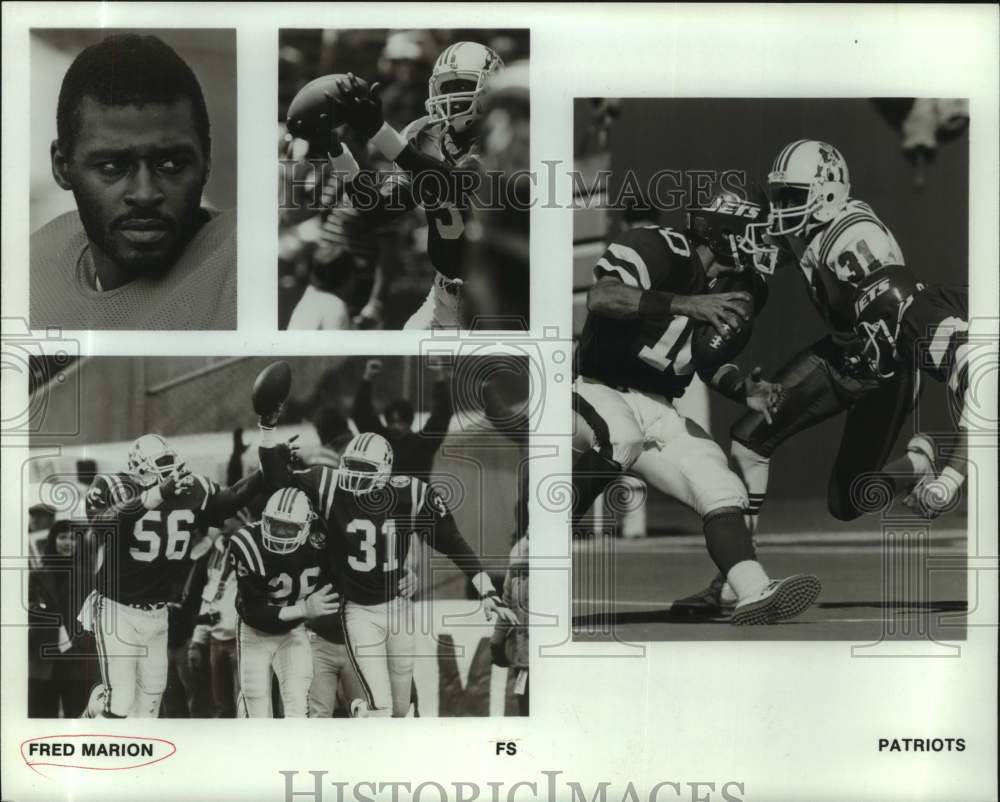 1986 Press Photo New England Patriots football player Fred Marion - nos23023- Historic Images