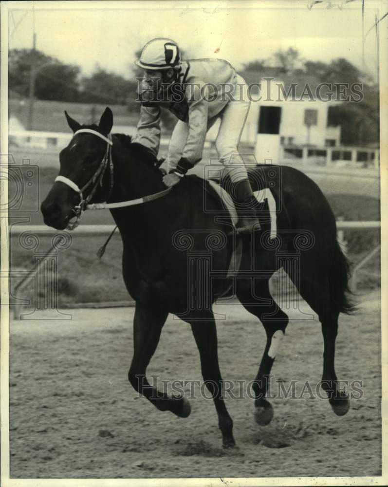 1974 Press Photo Jockey up on the saddle of race horse Bold Rosie on the track- Historic Images