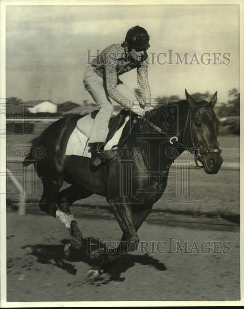 1973 Press Photo Jockey rides up on race horse One Pun Sun on the track- Historic Images