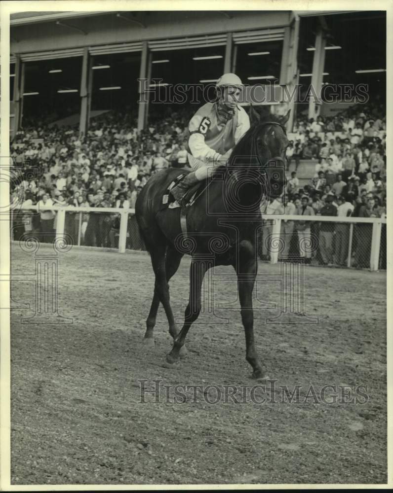 1971 Press Photo Jockey Phil Rubbico rides on race horse Steady Friar at track- Historic Images