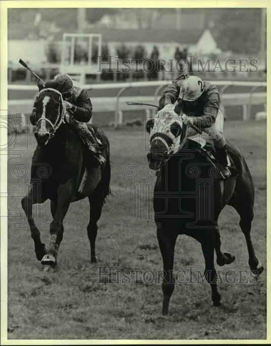 1987 Press Photo Race horse