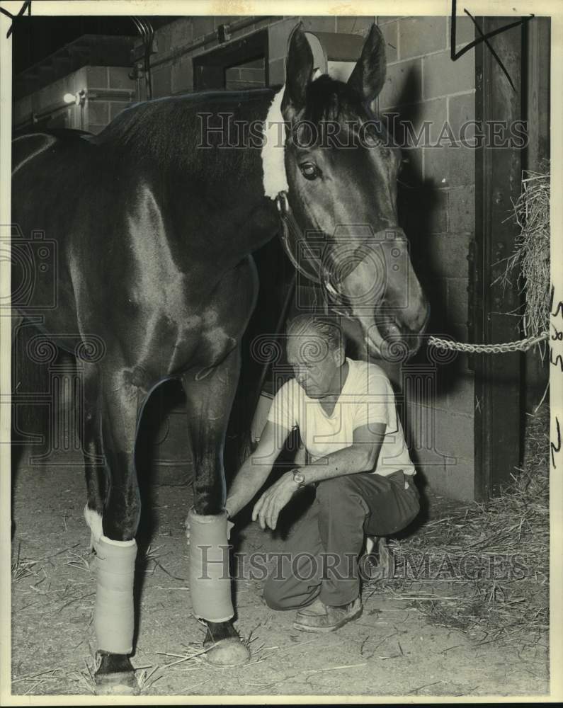 1975 Press Photo Groom Tom Concannon wraps legs of race horse Big Dare- Historic Images