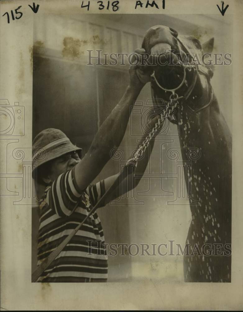 1980 Press Photo Race horse Top Avenger gets bath from groom Lawrence Allison- Historic Images