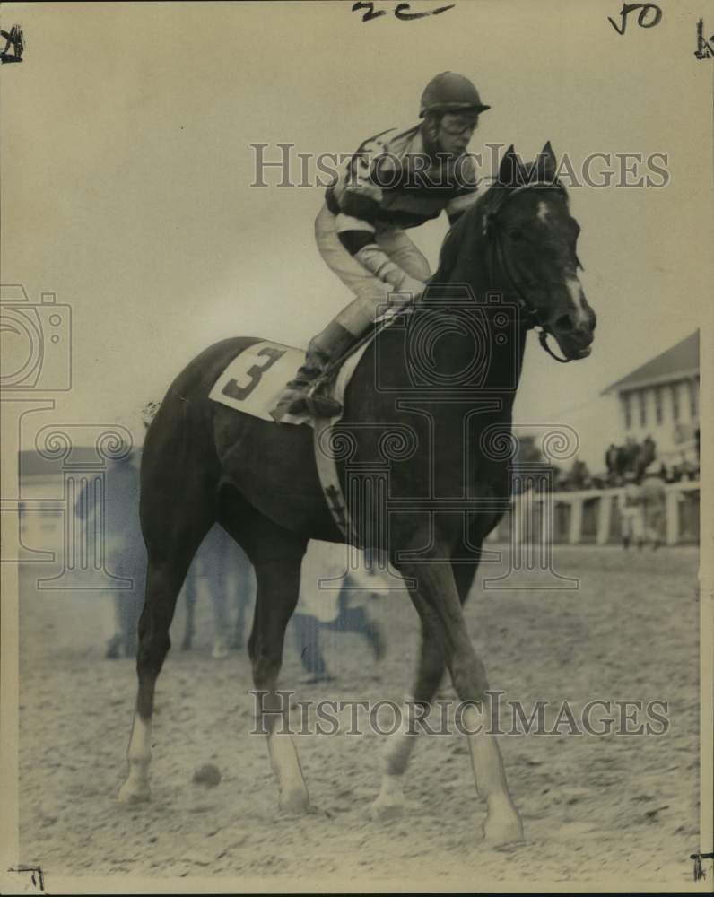 1979 Press Photo Horse Racing - Racehorse Yorktown with Rider- Historic Images