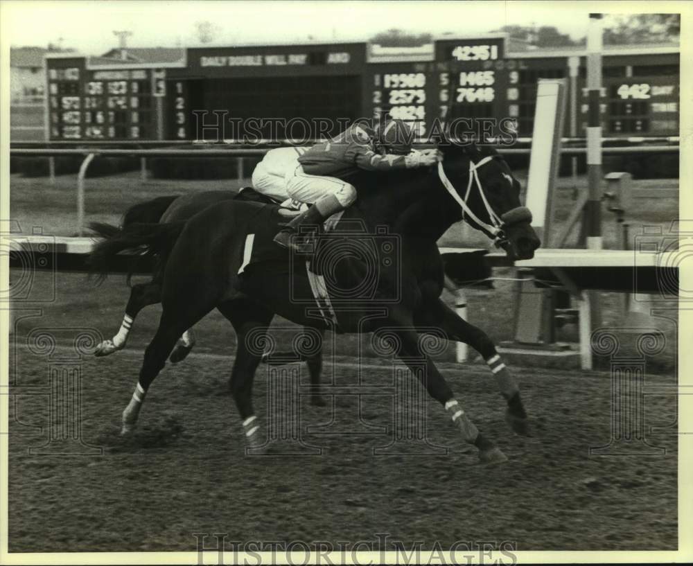 1983 Press Photo Jockey Ricky Frasier rids race horse Boys Nite Out in Pelleteri- Historic Images