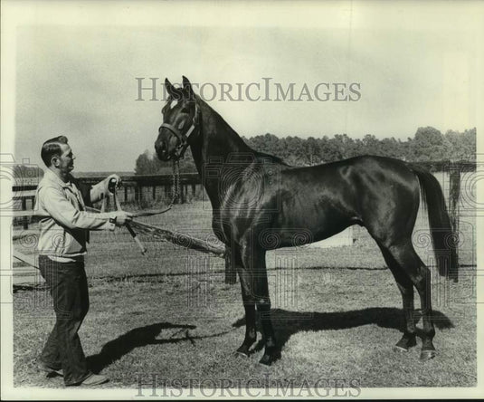 1976 Press Photo Man holds reigns to race horse Ramirez out in a fenced field- Historic Images