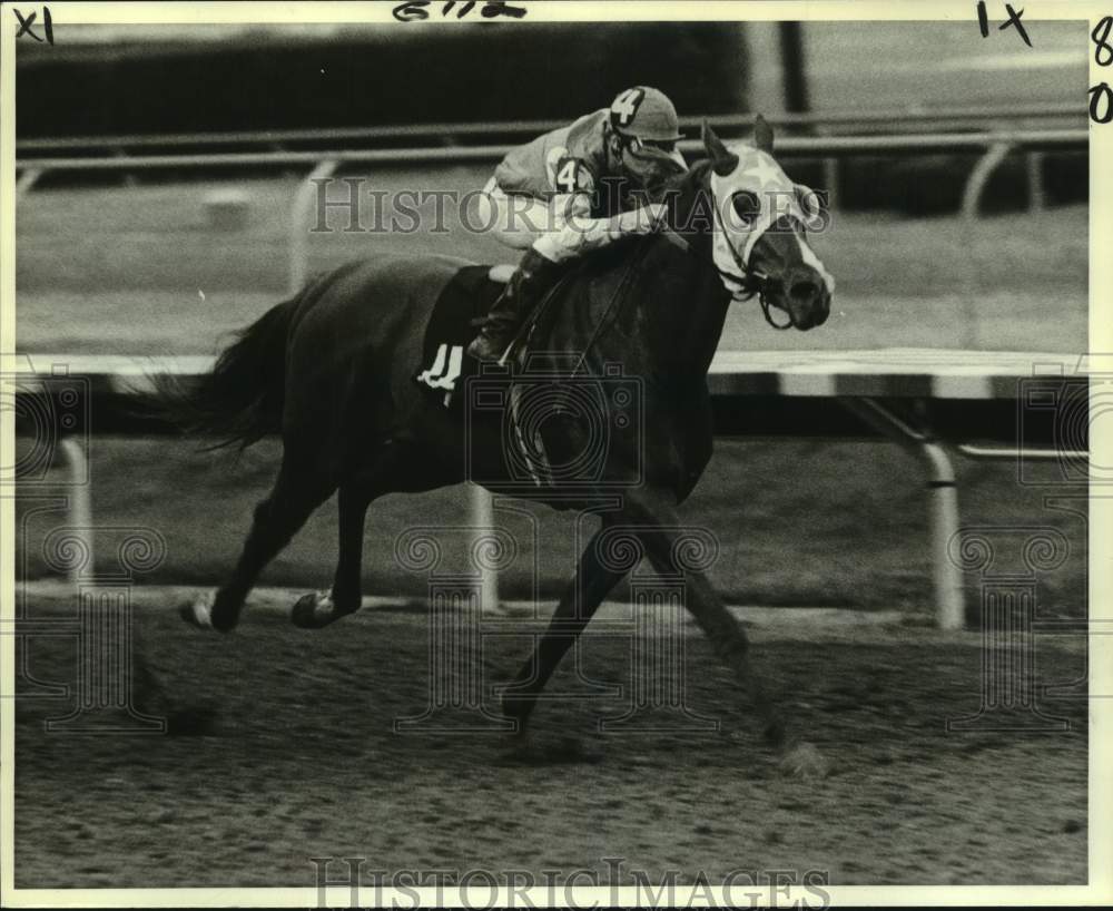 1983 Press Photo Racehorse Pronto Forli - nos25373- Historic Images