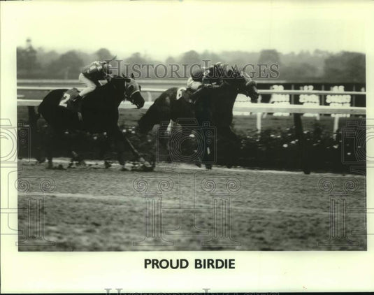 1982 Press Photo Racehorse Proud Birdie- Historic Images