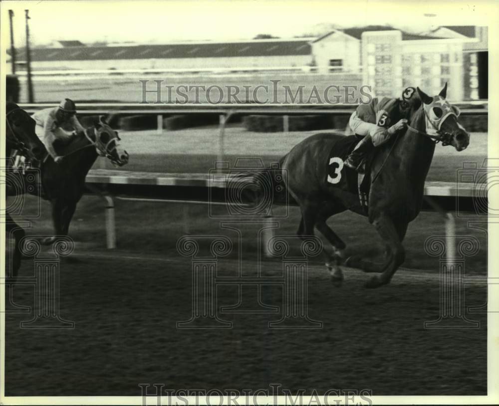 1983 Press Photo Racehorse Pronto Forli and jockey Bobby Walker - nos25375- Historic Images