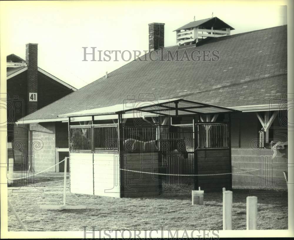 1982 Press Photo Racehorse Annex - nos25444- Historic Images