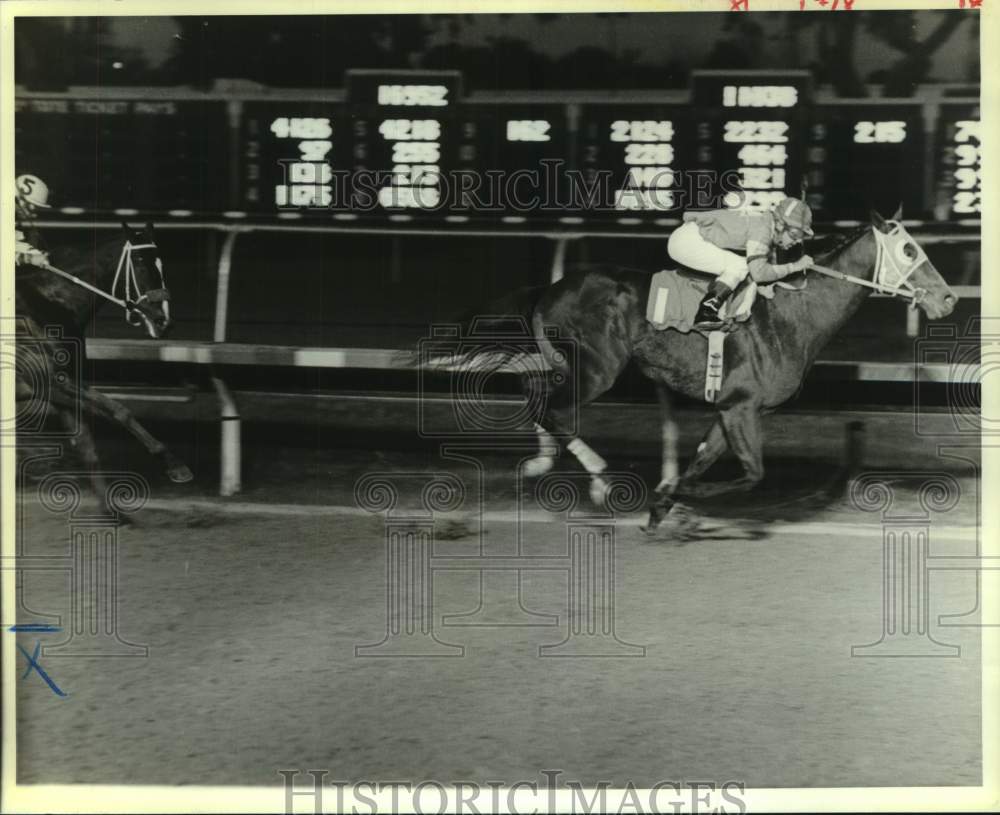 1983 Press Photo Racehorses Biloxi Indian and Beau&#39;s Express at Fair Grounds- Historic Images