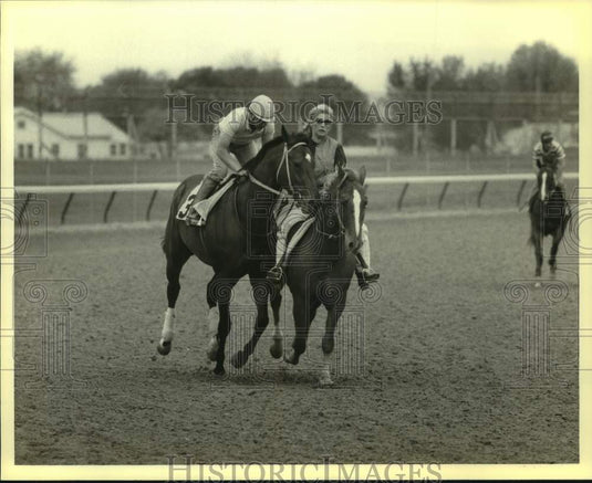 1984 Press Photo Racehorse Biloxi Indian - nos25461- Historic Images
