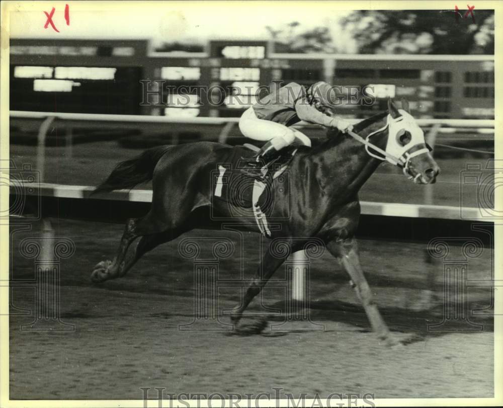 1987 Press Photo Horse Racing - Racehorse Big Joe - nos25464- Historic Images