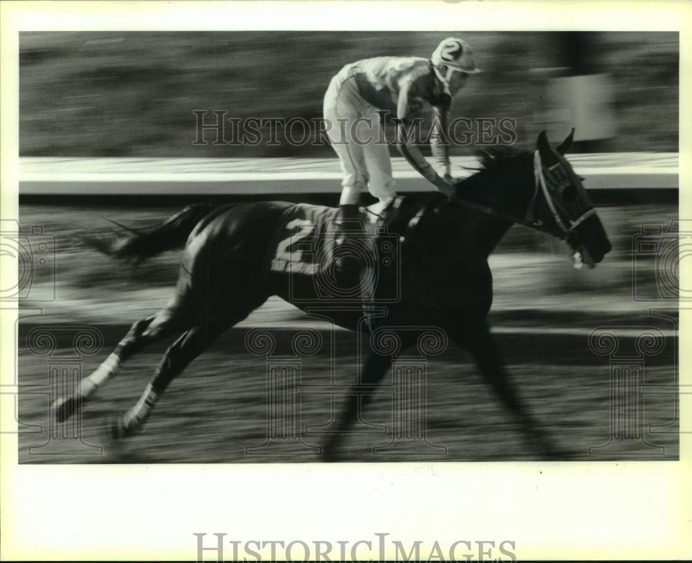 1993 Press Photo Horse Racing - Racehorse Silky Feather in Fairground Oak Race - Historic Images