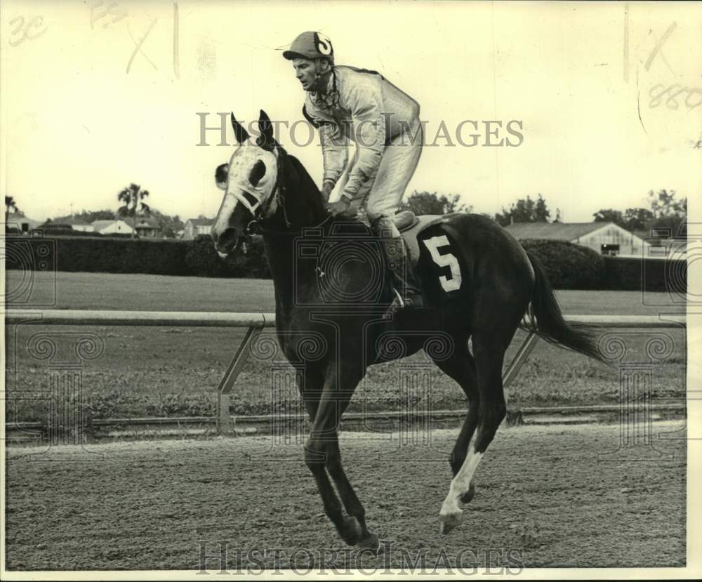 1973 Press Photo Race horse My Boy Scotty with jockey Joe Alleman on the track- Historic Images