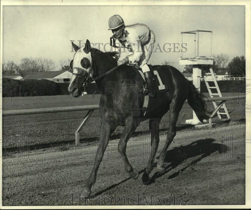 1971 Press Photo Race horse Rio Bravo with jockey David Whited up rides on track- Historic Images