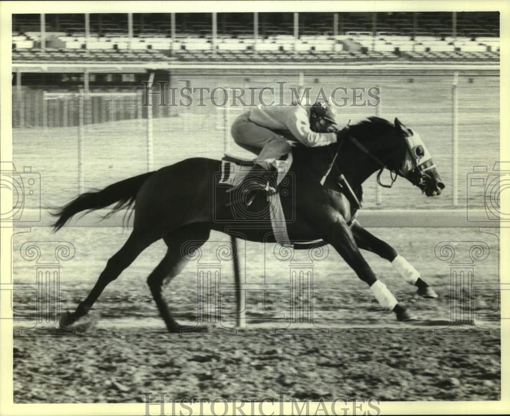 1982 Press Photo Jockey crouches down on race horse Bold Style sprinting- Historic Images