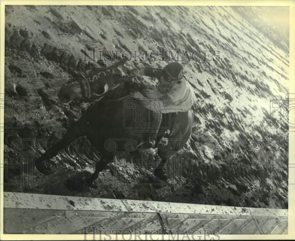 1987 Press Photo Race horse One Tough Cat wins on muddy track at Fair Grounds- Historic Images