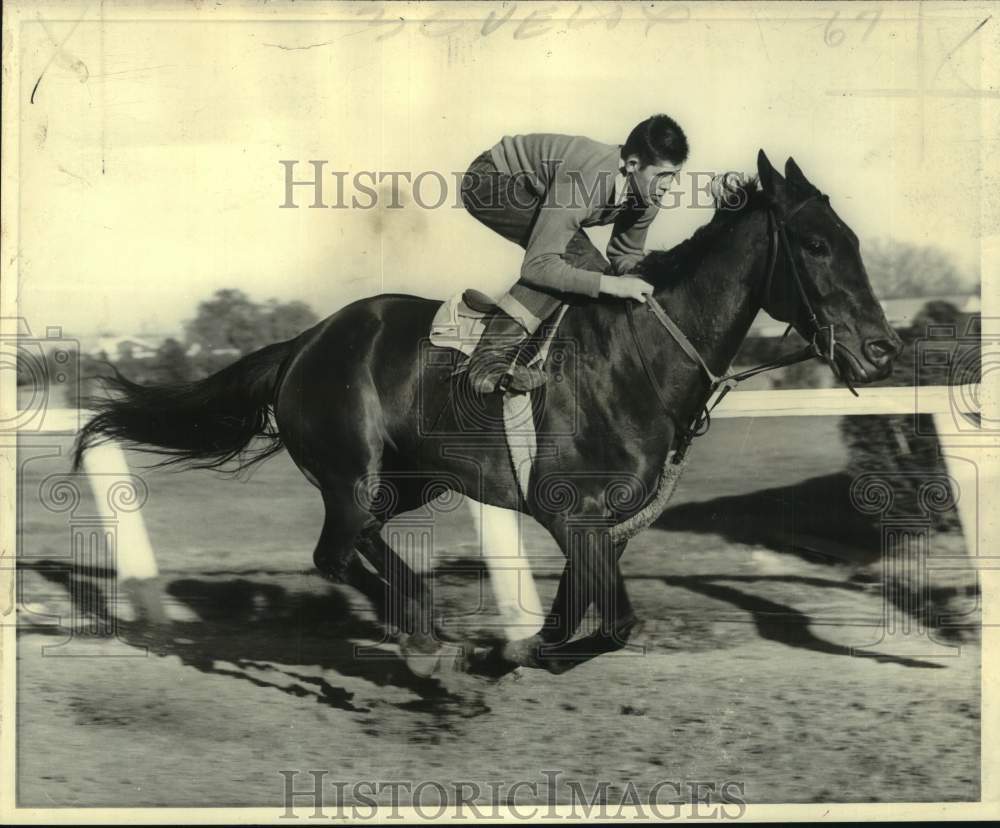 1974 Press Photo New Orleans Handicap racehorse Warbucks - nos25601- Historic Images