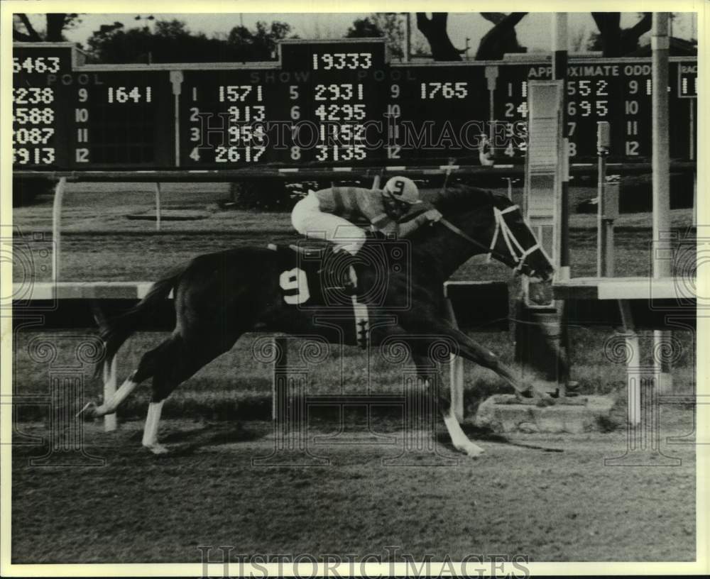 1985 Press Photo Race horse Westheimer with jockey Larry Snyder in New Orleans- Historic Images